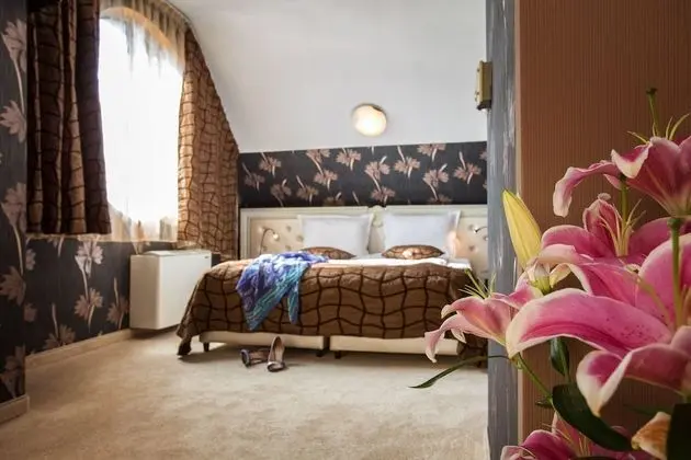 Deluxe Oda, 1 Çift Kişilik Yatak ve Çekyat, Sigara İçilmez (with Sofabed)