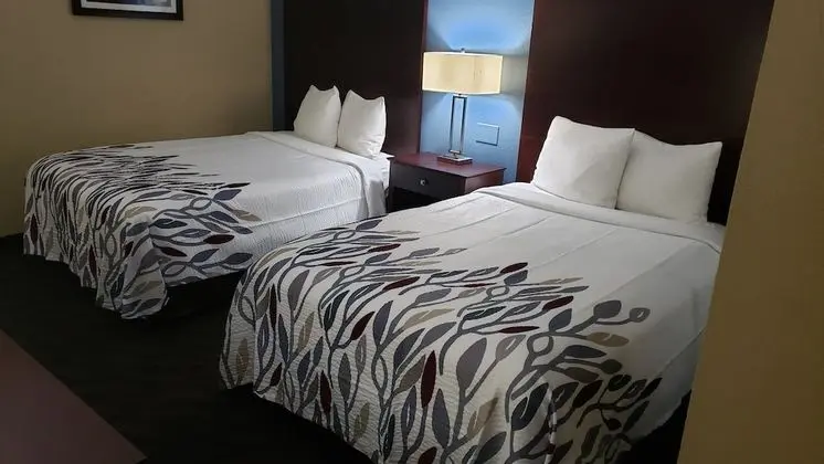 Deluxe Oda, 2 Çift Kişilik Yatak, Sigara İçilmez