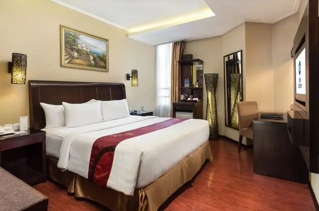 Deluxe Oda, 1 En Büyük (King) Boy Yatak, Sigara İçilmez, Şehir Manzaralı (Shower Only)