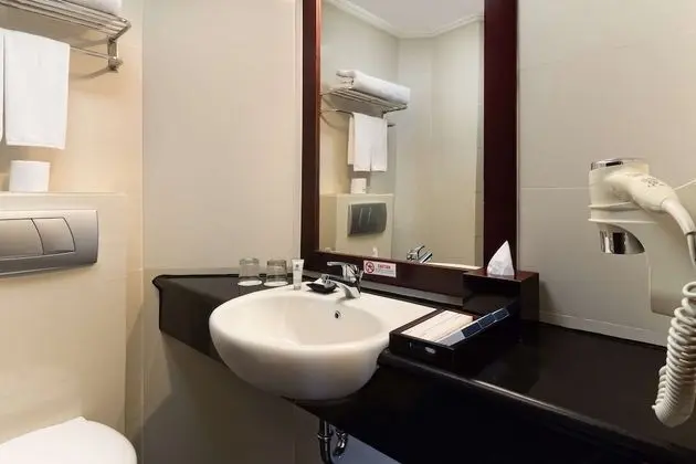 Deluxe Oda, 1 En Büyük (King) Boy Yatak, Sigara İçilmez, Şehir Manzaralı (Shower Only)