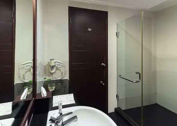 Deluxe Oda, 1 En Büyük (King) Boy Yatak, Sigara İçilmez, Şehir Manzaralı (Shower Only)