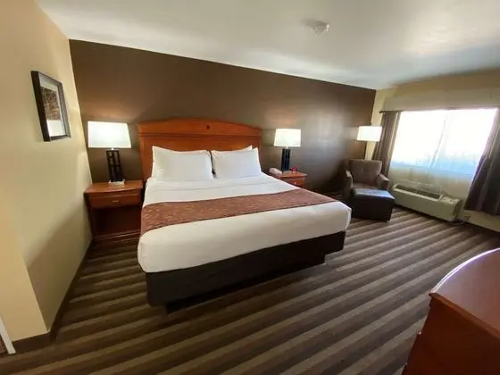 Business Oda, 1 En Büyük (King) Boy Yatak, Sigara İçilmez