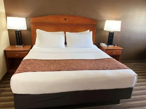 Business Oda, 1 En Büyük (King) Boy Yatak, Sigara İçilmez