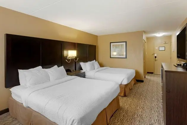 Standard Oda, 2 Büyük (Queen) Boy Yatak, Sigara İçilmez (Pet Friendly)