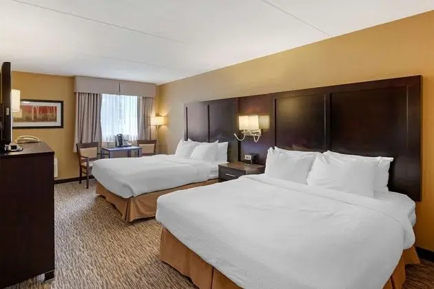 Standard Oda, 2 Büyük (Queen) Boy Yatak, Sigara İçilmez (Pet Friendly)