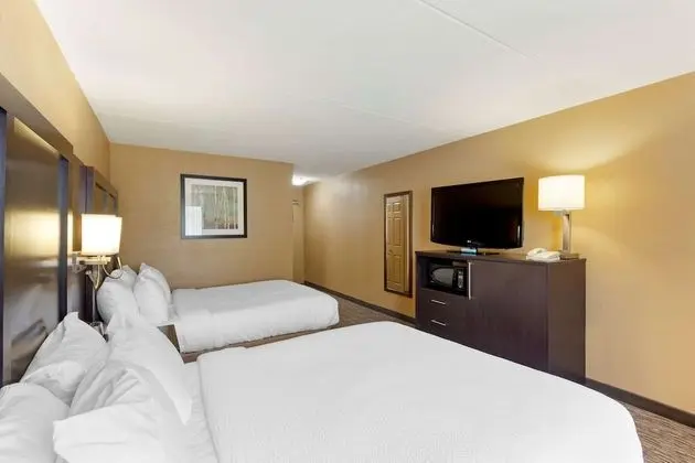 Standard Oda, 2 Büyük (Queen) Boy Yatak, Sigara İçilmez (Pet Friendly)