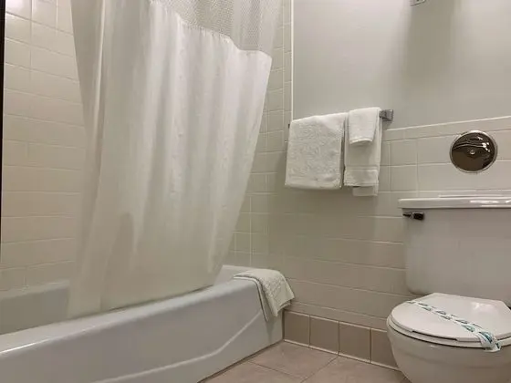 Standard Oda, 2 Büyük (Queen) Boy Yatak, Sigara İçilmez, Buzdolabı ve Mikrodalga (with Sofabed)