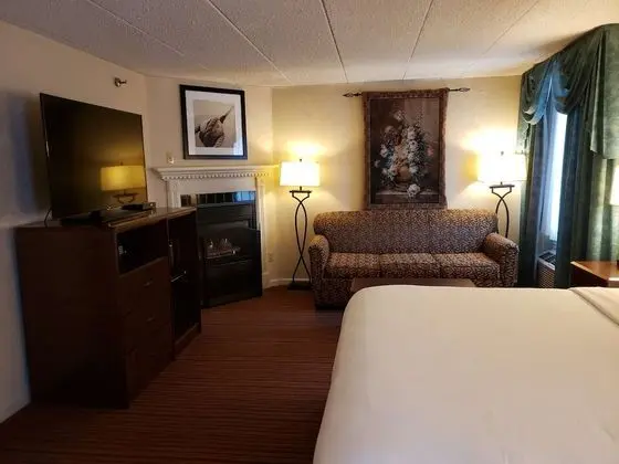 Standard Oda, 1 En Büyük (King) Boy Yatak, Sigara İçilmez, Sıcak Su Küveti (Oversized Room)