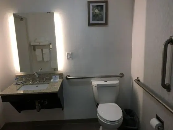 Standard Oda, 1 En Büyük (King) Boy Yatak, Engellilere Uygun, Sigara İçilmez (Walk-in Shower)