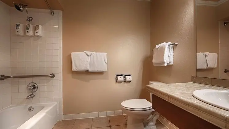 Standard Oda, 1 En Büyük (King) Boy Yatak, Sigara İçilmez, Buzdolabı ve Mikrodalga