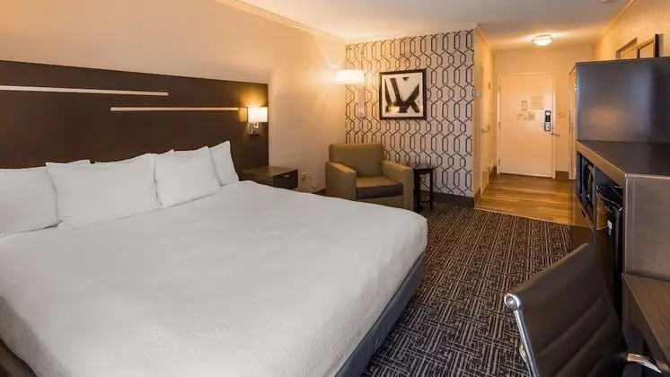 Standard Oda, 1 En Büyük (King) Boy Yatak, Engellilere Uygun, Küvet