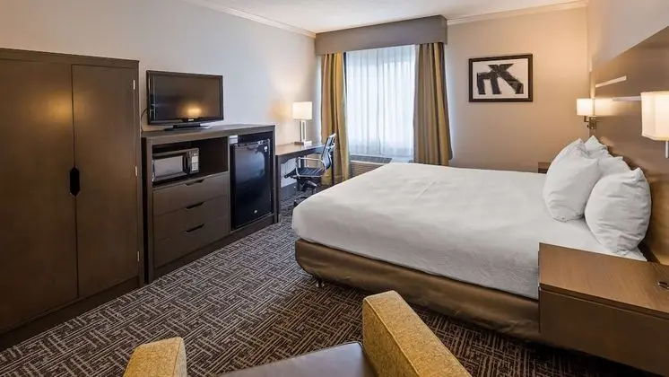 Standard Oda, 1 En Büyük (King) Boy Yatak, Engellilere Uygun, Küvet