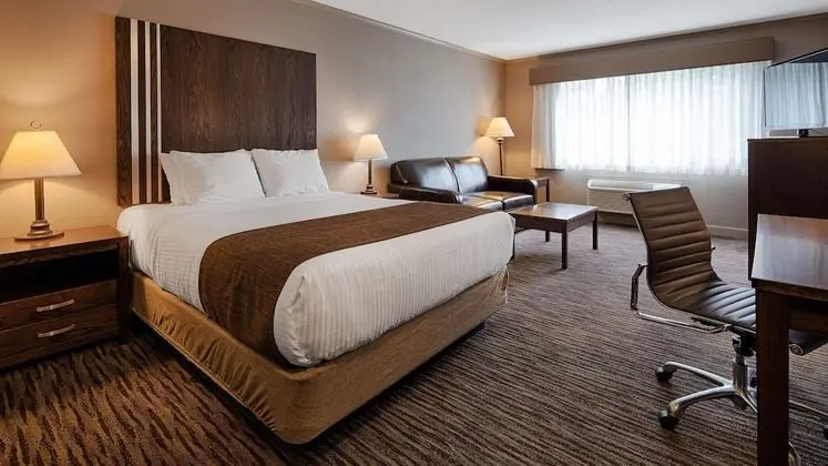 Standard Oda, 1 En Büyük (King) Boy Yatak, Sigara İçilmez, Buzdolabı (Pet Friendly)