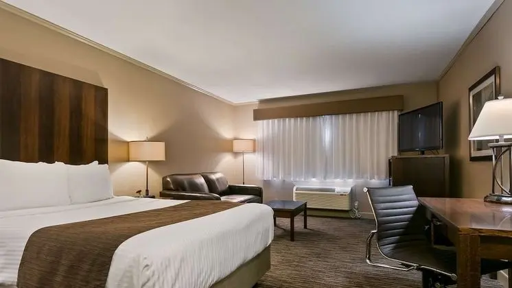 Standard Oda, 1 En Büyük (King) Boy Yatak, Sigara İçilmez, Buzdolabı (Pet Friendly)