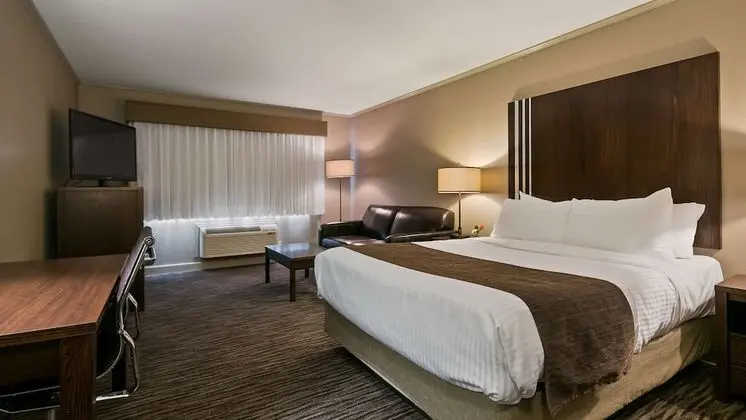 Standard Oda, 1 En Büyük (King) Boy Yatak, Sigara İçilmez, Buzdolabı (Pet Friendly)