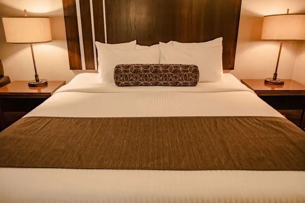Standard Oda, 1 En Büyük (King) Boy Yatak, Sigara İçilmez, Buzdolabı (Pet Friendly)