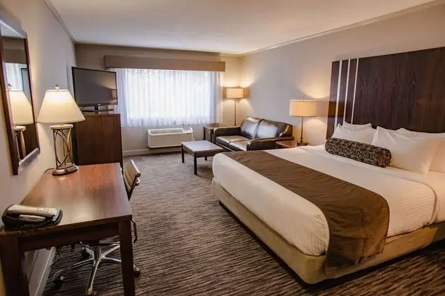 Standard Oda, 2 Büyük (Queen) Boy Yatak, Sigara İçilmez, Buzdolabı (Pet Friendly;with Sofabed)