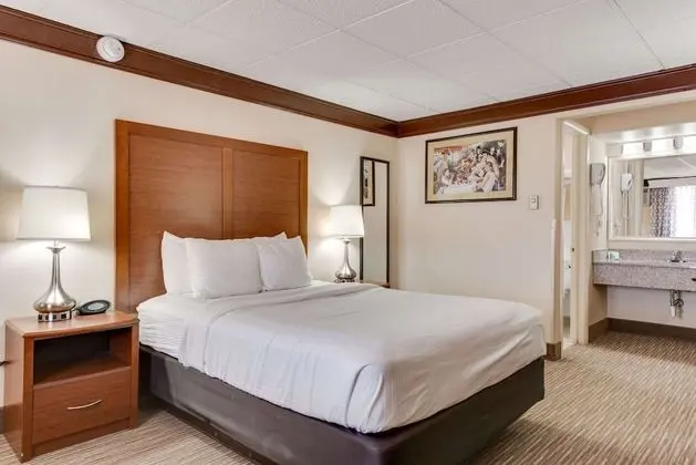 Standard Oda, 1 Büyük (Queen) Boy Yatak, Sigara İçilmez, Buzdolabı ve Mikrodalga (Pet Friendly)