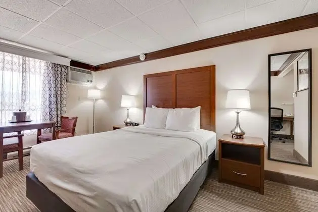 Standard Oda, 1 Büyük (Queen) Boy Yatak, Sigara İçilmez, Buzdolabı ve Mikrodalga (Pet Friendly)