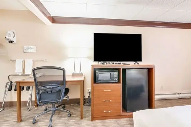 Standard Oda, 1 Büyük (Queen) Boy Yatak, Sigara İçilmez, Buzdolabı ve Mikrodalga (Pet Friendly)