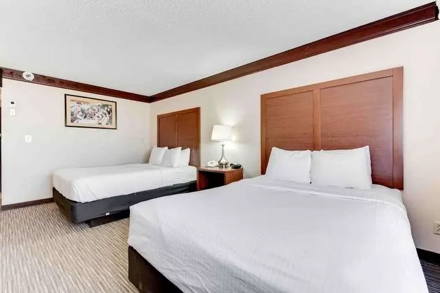 Standard Oda, 2 Büyük (Queen) Boy Yatak, Engellilere Uygun, Sigara İçilmez