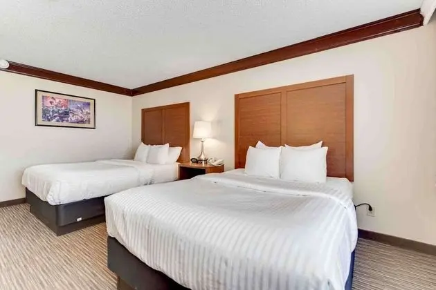 Standard Oda, 2 Büyük (Queen) Boy Yatak, Sigara İçilmez, Buzdolabı ve Mikrodalga (Movie View)