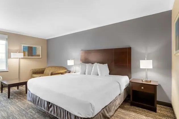 Executive Oda, 1 En Büyük (King) Boy Yatak, Sigara İçilmez, Buzdolabı ve Mikrodalga (Oversized Room)