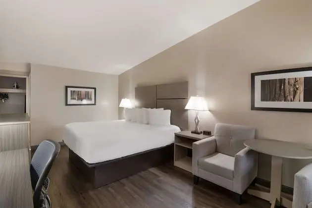 Standard Oda, 1 En Büyük (King) Boy Yatak, Sigara İçilmez, Balkon (Pet Friendly)