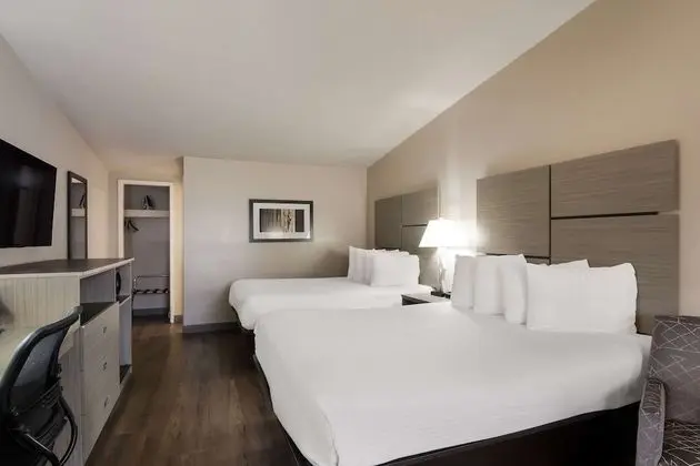 Standard Oda, 2 Büyük (Queen) Boy Yatak, Sigara İçilmez, Buzdolabı ve Mikrodalga (Pet Friendly)