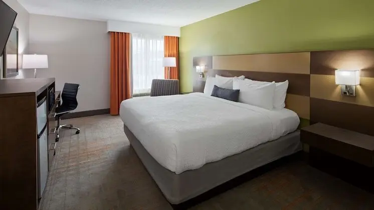 Standard Oda, 1 En Büyük (King) Boy Yatak, Sigara İçilmez, Buzdolabı ve Mikrodalga (Pet Friendly)