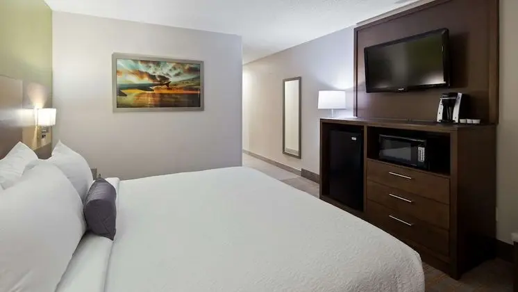 Standard Oda, 1 En Büyük (King) Boy Yatak, Sigara İçilmez, Buzdolabı ve Mikrodalga (Pet Friendly)