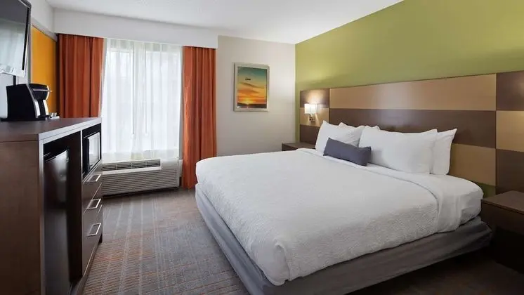 Standard Oda, 1 En Büyük (King) Boy Yatak, Sigara İçilmez, Buzdolabı ve Mikrodalga (Pet Friendly)