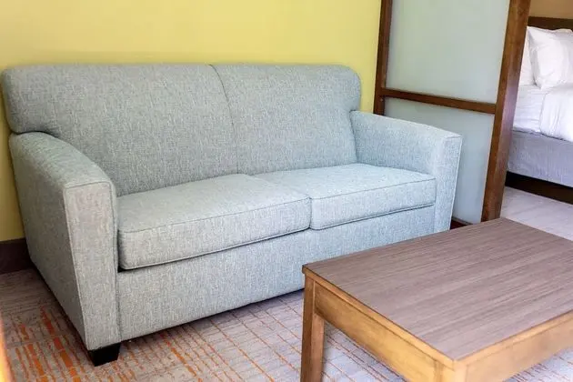 Süit, 2 Büyük (Queen) Boy Yatak, Sigara İçilmez, Buzdolabı ve Mikrodalga (with Sofabed)