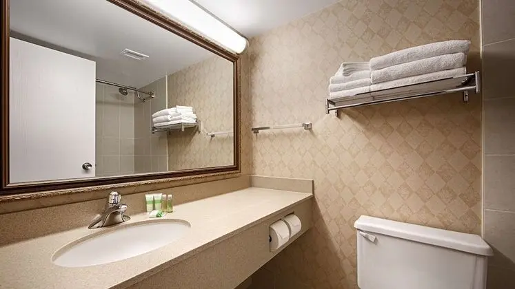 Standard Oda, 1 En Büyük (King) Boy Yatak, Sigara İçilmez, Buzdolabı ve Mikrodalga (1st Floor)