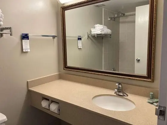 Standard Oda, 2 Çift Kişilik Yatak, Sigara İçilmez, Buzdolabı ve Mikrodalga (2nd Floor)