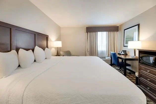 Standard Oda, 1 En Büyük (King) Boy Yatak, Engellilere Uygun, Sigara İçilmez