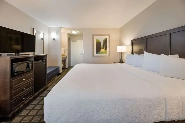 Standard Oda, 1 En Büyük (King) Boy Yatak, Engellilere Uygun, Sigara İçilmez