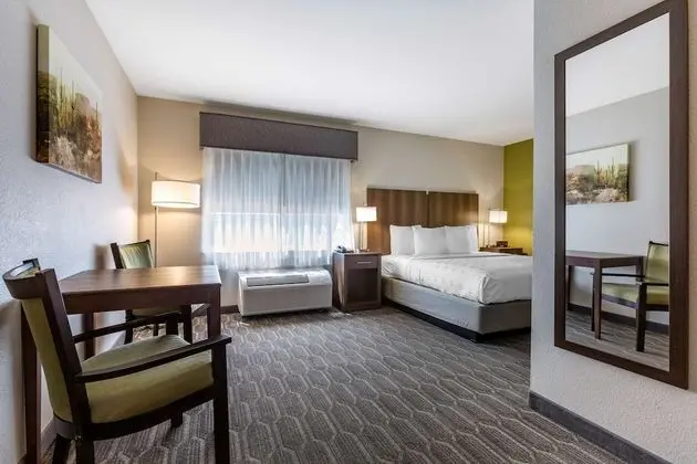 Standard Oda, 1 En Büyük (King) Boy Yatak, Engellilere Uygun, Buzdolabı ve Mikrodalga (Pet Friendly)