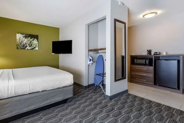 Standard Oda, 1 En Büyük (King) Boy Yatak, Engellilere Uygun, Buzdolabı ve Mikrodalga (Pet Friendly)