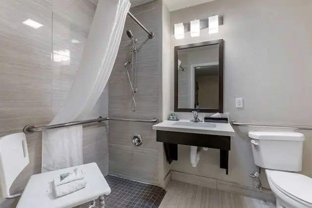 Standard Oda, 1 En Büyük (King) Boy Yatak, Engellilere Uygun, Buzdolabı ve Mikrodalga (Pet Friendly)