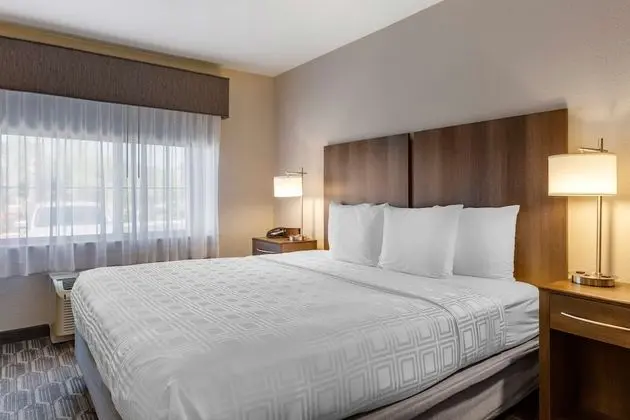 Standard Oda, 1 En Büyük (King) Boy Yatak, Sigara İçilmez, Küçük Mutfak (Pet Friendly)