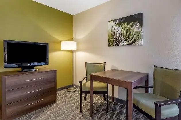 Standard Oda, 1 En Büyük (King) Boy Yatak, Sigara İçilmez, Küçük Mutfak (Pet Friendly)
