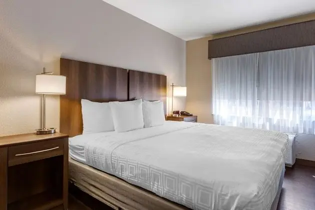 Standard Oda, 1 En Büyük (King) Boy Yatak, Sigara İçilmez, Küçük Mutfak (Pet Friendly)