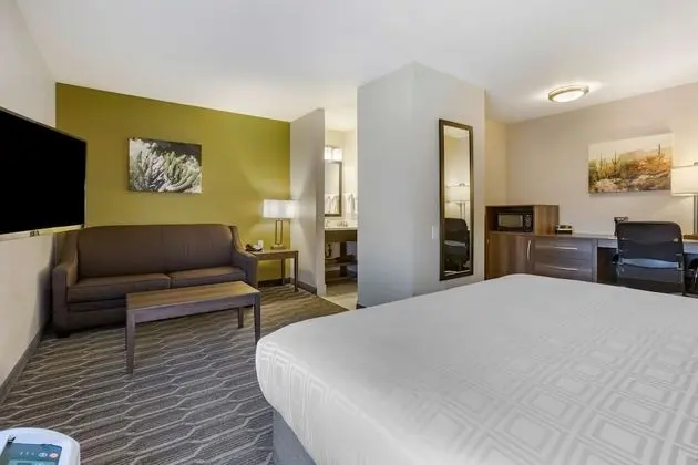 Standard Oda, 1 En Büyük (King) Boy Yatak, Sigara İçilmez (Pet Friendly;with Sofabed)