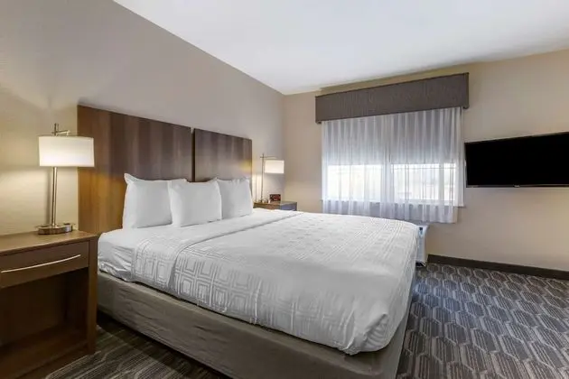 Standard Oda, 1 En Büyük (King) Boy Yatak, Sigara İçilmez (Pet Friendly;with Sofabed)