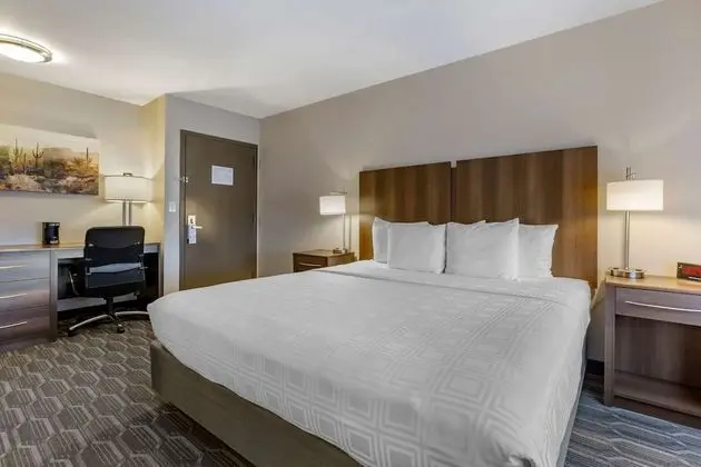 Standard Oda, 1 En Büyük (King) Boy Yatak, Sigara İçilmez (Pet Friendly;with Sofabed)