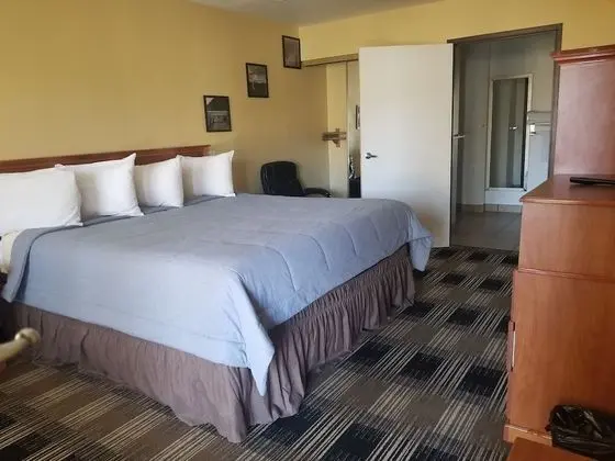 Tek Kişilik Oda, 1 En Büyük (King) Boy Yatak, Engellilere Uygun