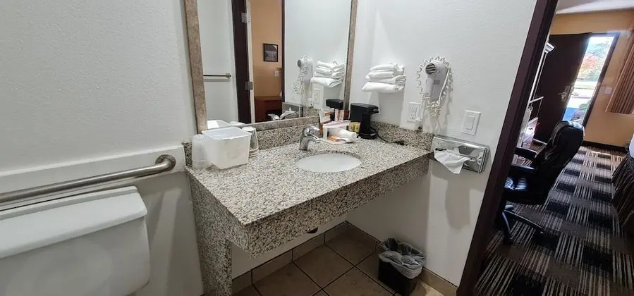 Tek Kişilik Oda, 1 En Büyük (King) Boy Yatak, Engellilere Uygun
