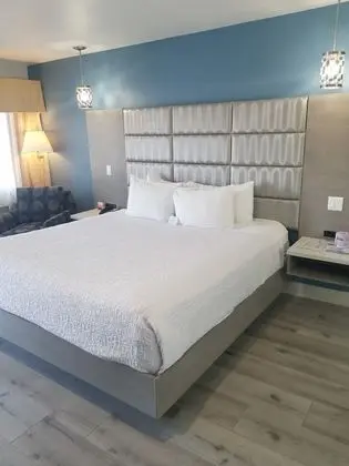 Standard Oda, 1 En Büyük (King) Boy Yatak ve Çekyat, Sigara İçilmez, Buzdolabı (with Sofabed)