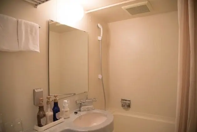 Standard Oda, 1 Çift Kişilik Yatak, Sigara İçilmez (Bed is a Semi double bed)